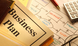 9 Pieces of a Successful Nonprofit Business Plan